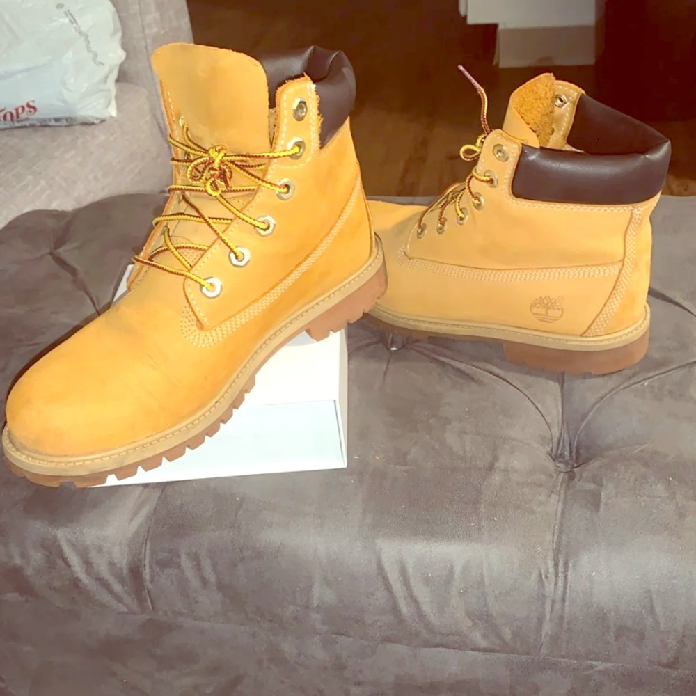 Grade school Wheat Timberlands